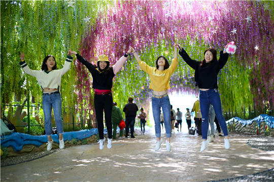 图2三五好友相约芜湖方特欢乐世界,庄道龙摄_副本.jpg