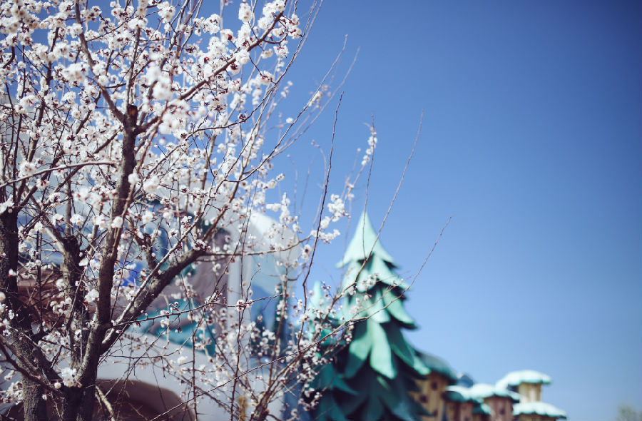 春景.png